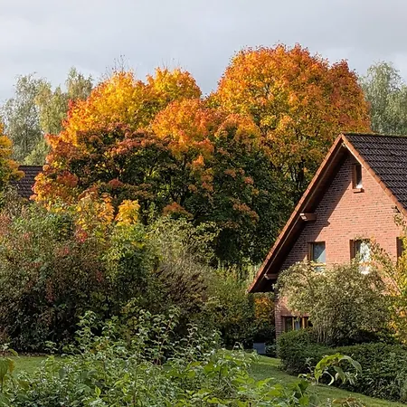 Дом отдыха Haus 27 Ferienpark, Gruene Oase Fuer Wanderurlaub, Naturgenuss Und Pure Entspannung *